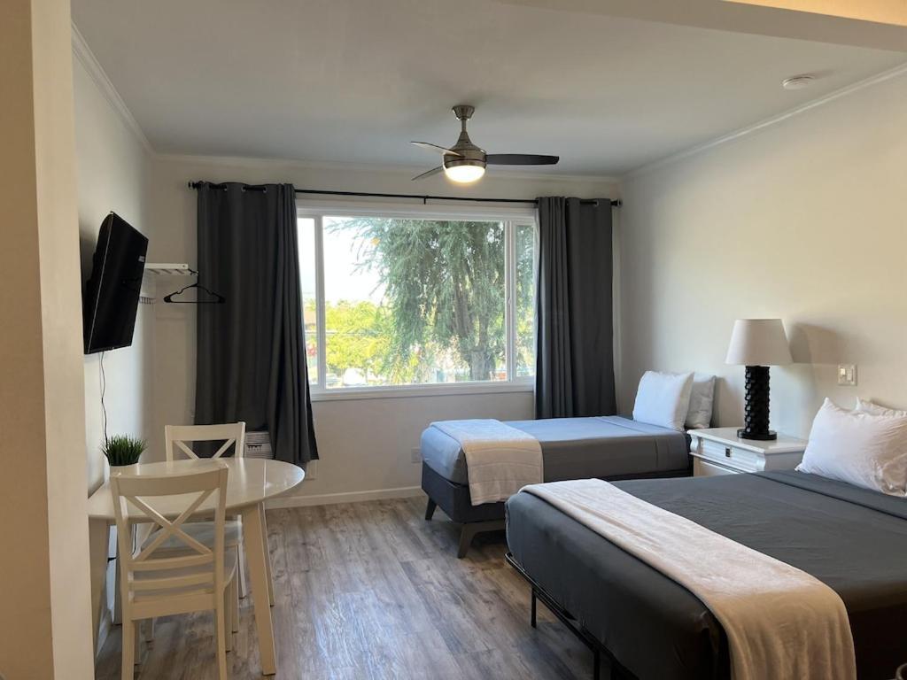 Unit 19 Maui Ohana Modern Studio Wailuku Eksteriør bilde